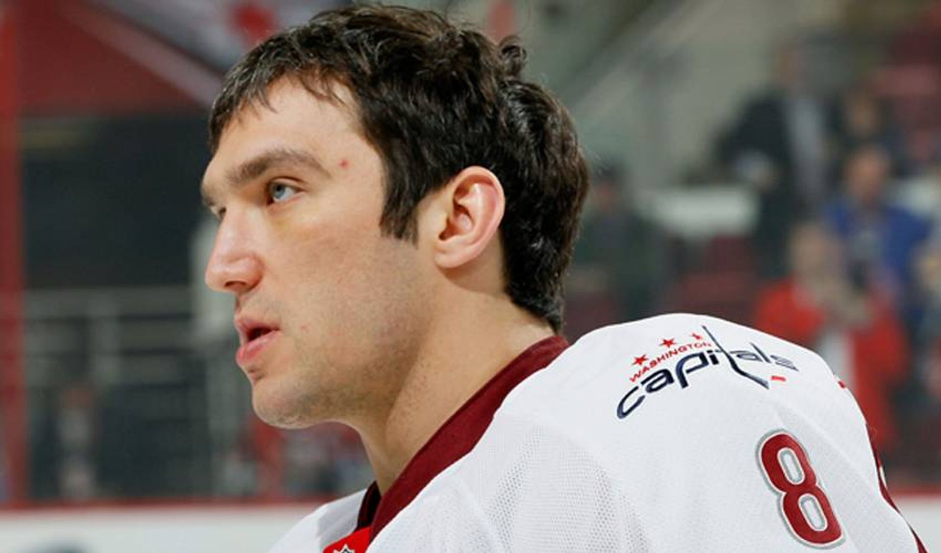 The Stars Are Out in Carolina!