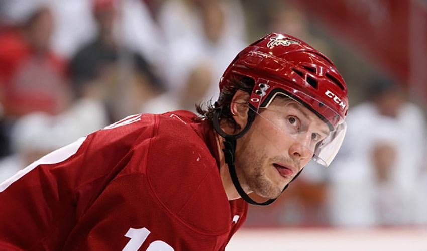 Shane Doan: Captain Coyote