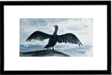 Skarven er svart