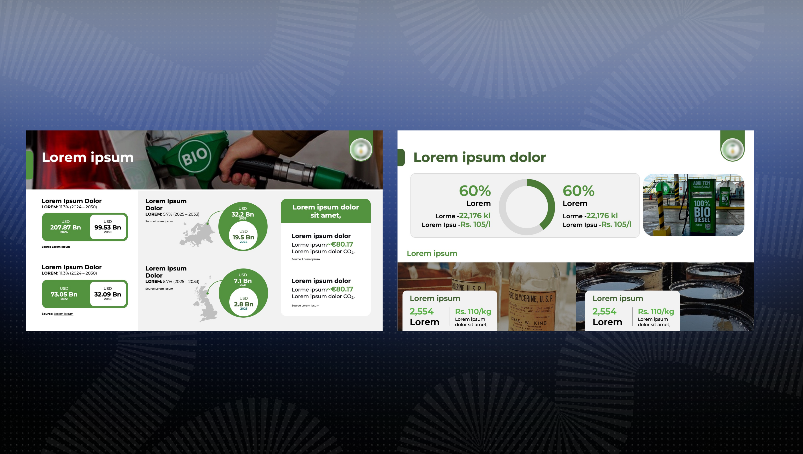 Biodiesel Manufacturing pitch deck slide 3