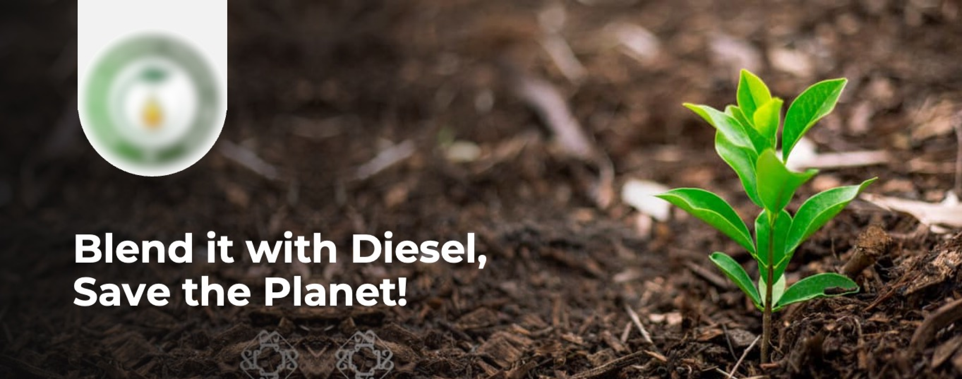 Fundraising Services for Biofuel Manufacturer case study