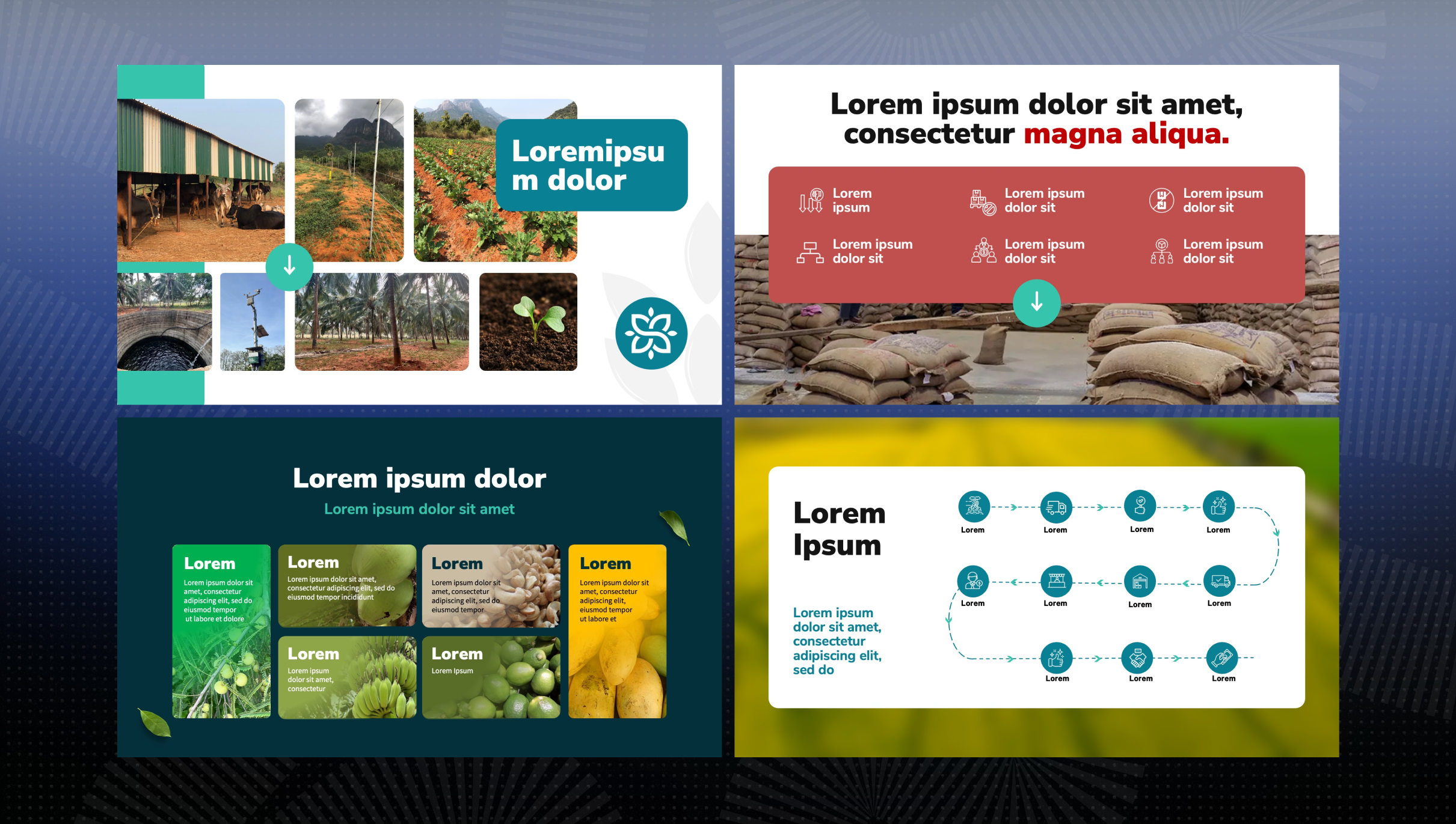 Shine Agrotechnology challenge slide 2