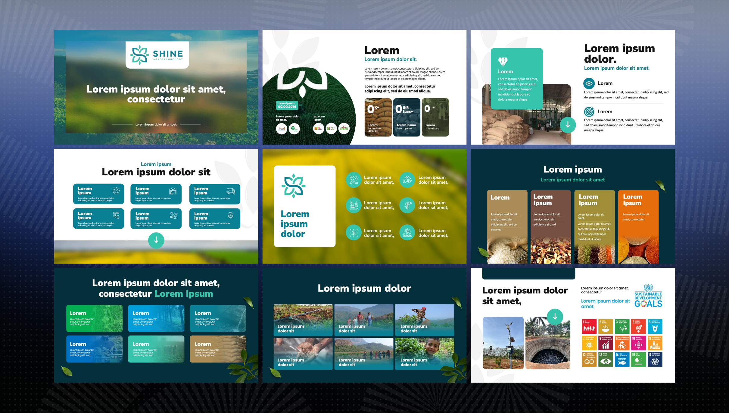 Shine Agrotechnology challenge slide 1