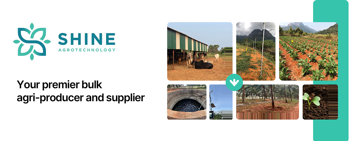 Shine Agrotechnology case study cover