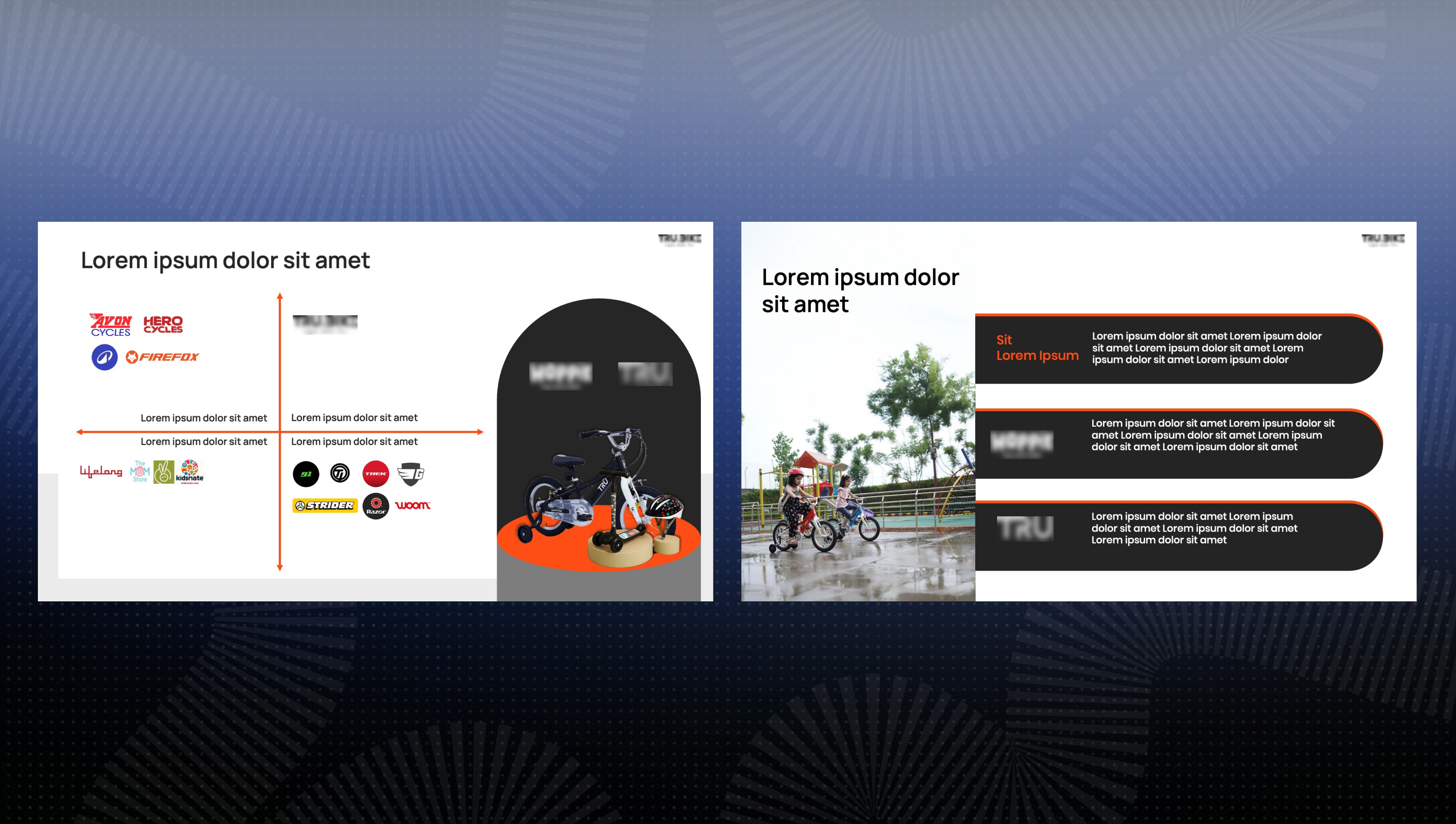 Global Bicycle Brand pitch deck slide 3