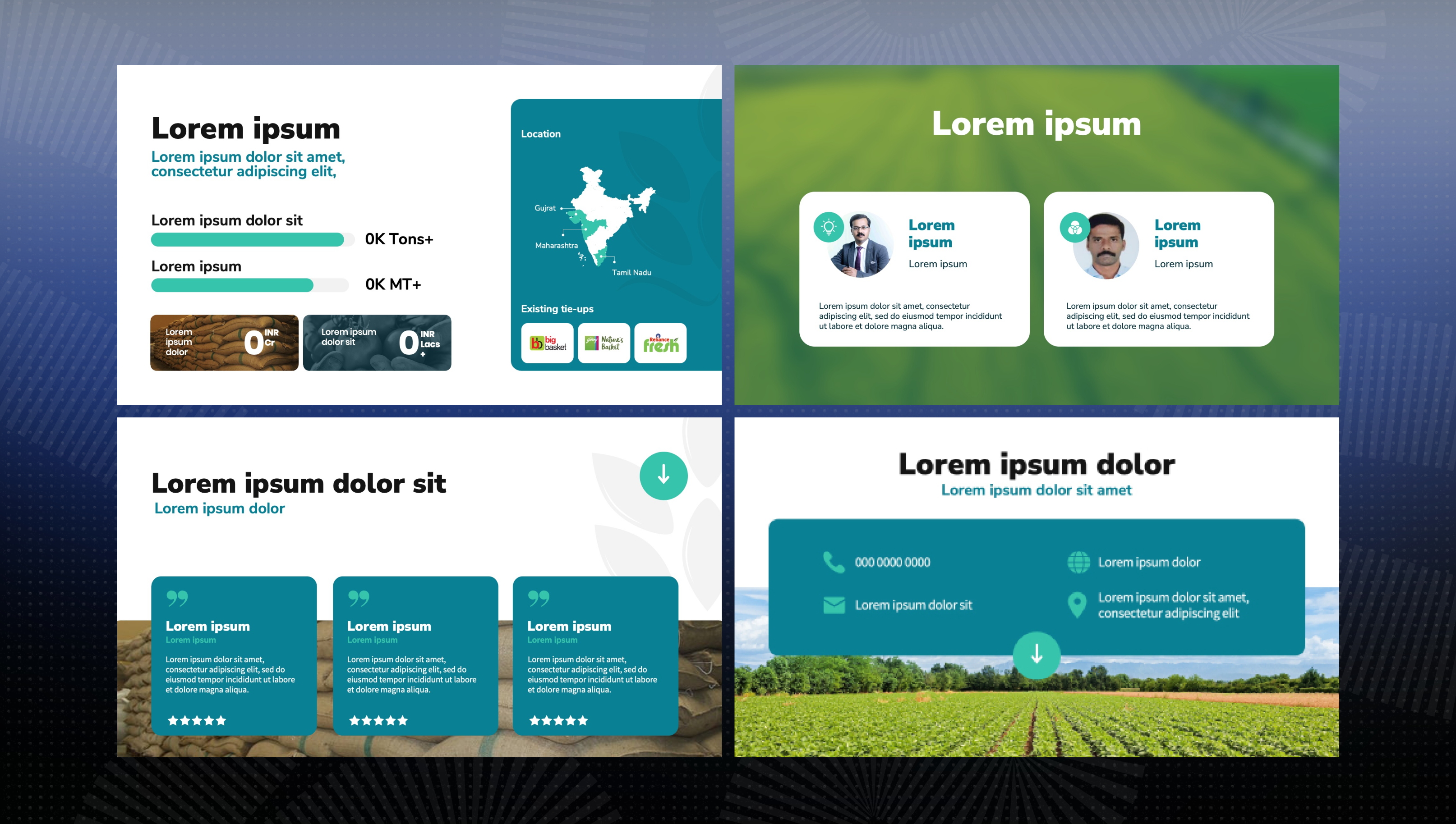Shine Agrotechnology challenge slide 3