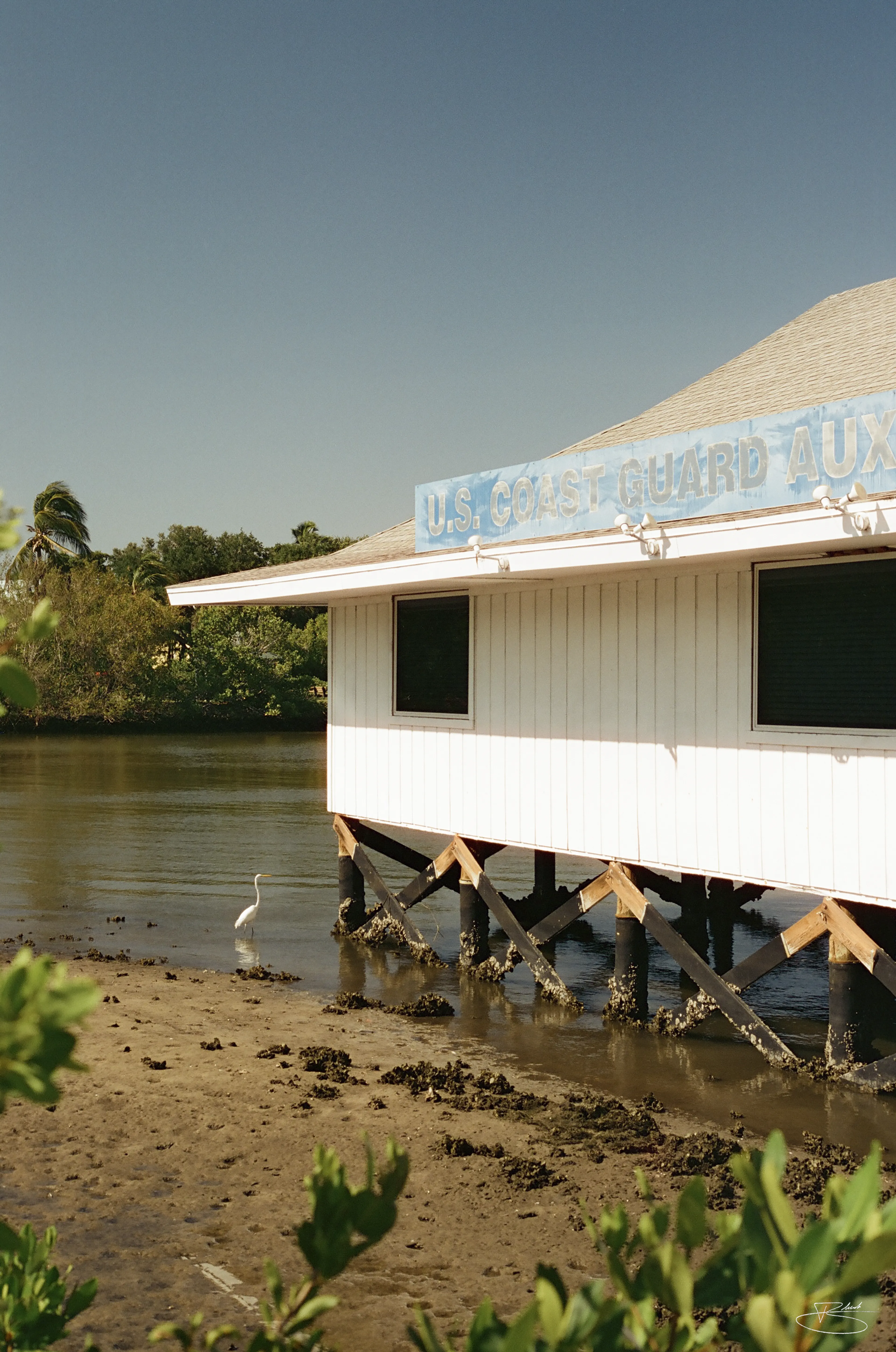 Low Tide