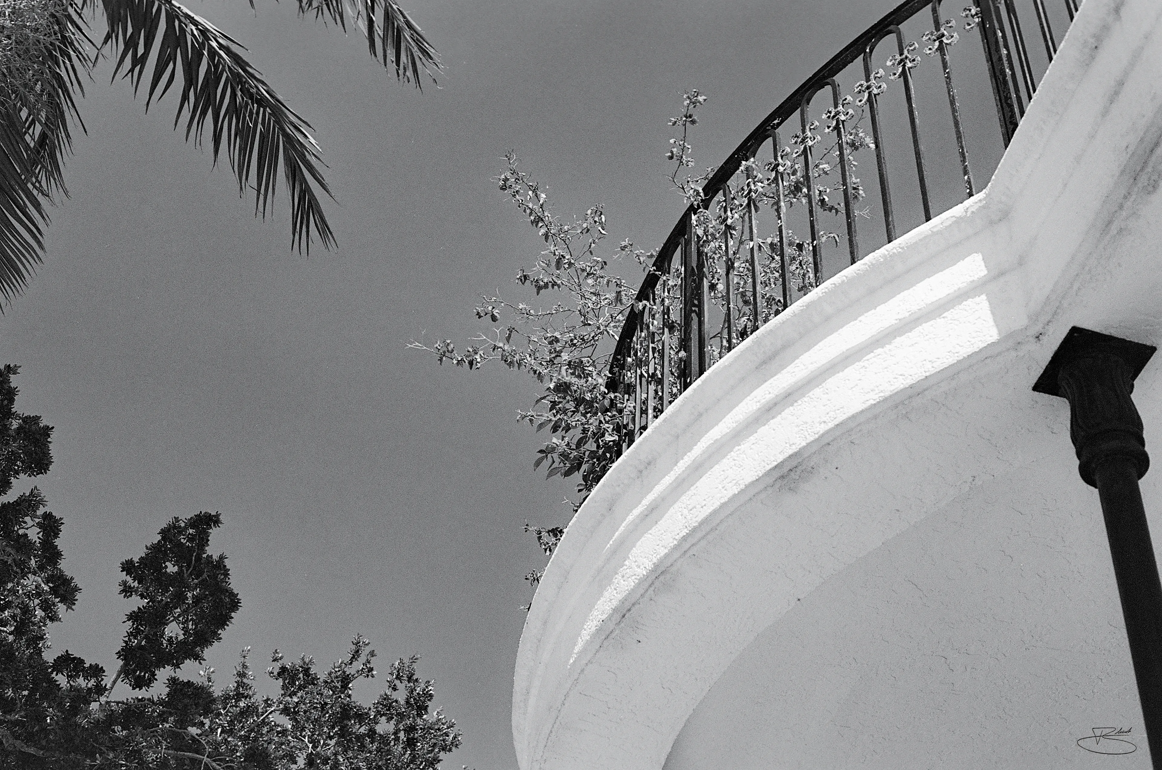 The Balcony 
