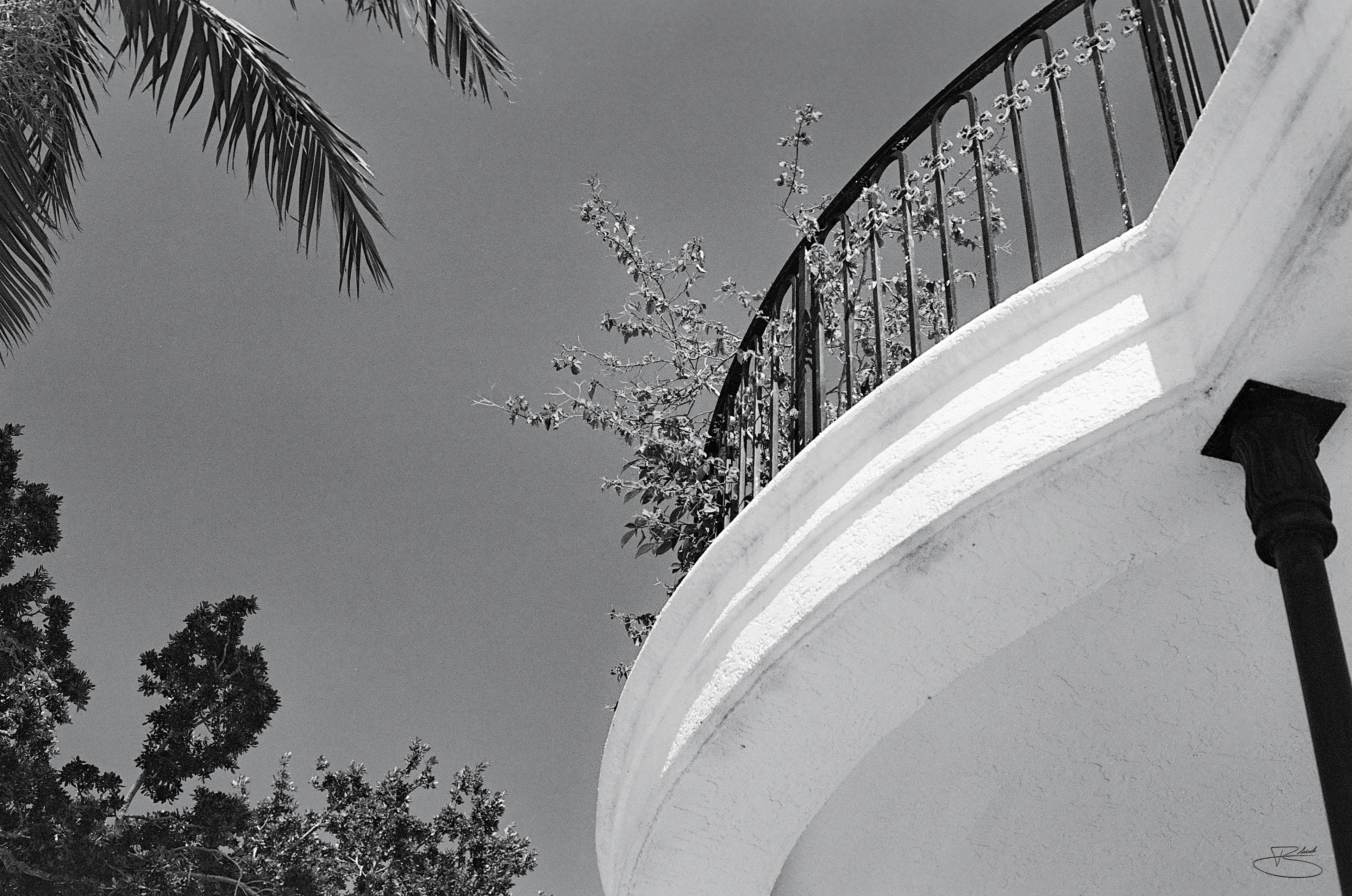 The Balcony 