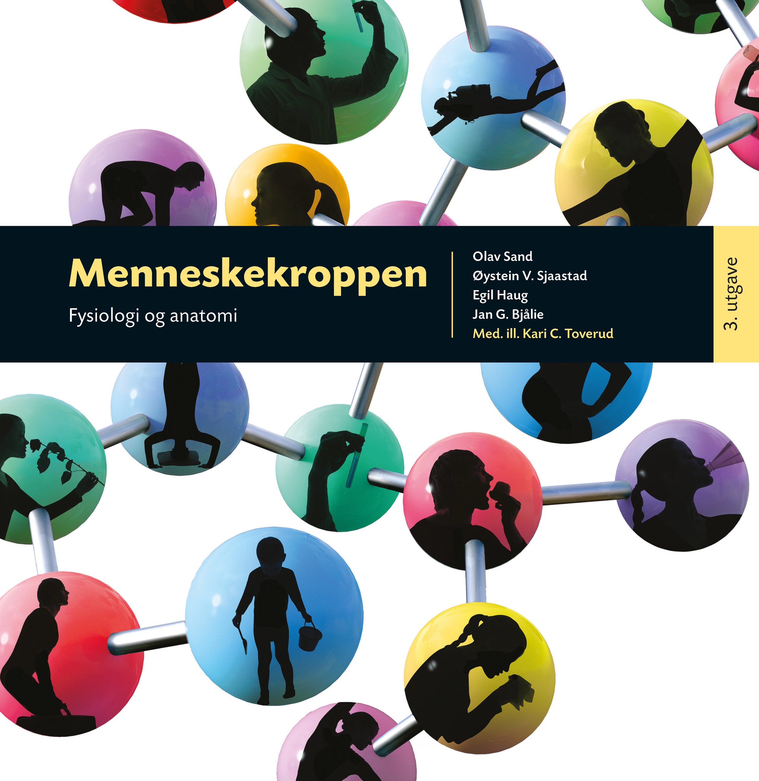 Menneskekroppen