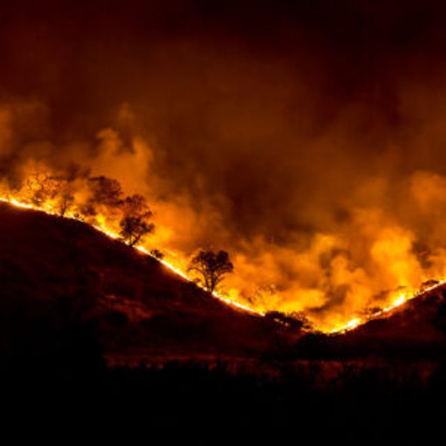 Wildfires
