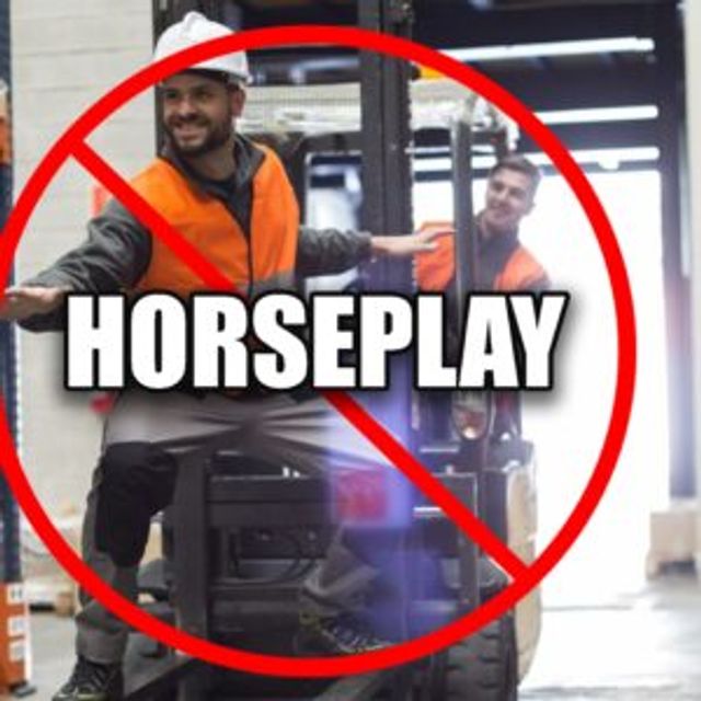 Workplace Horseplay