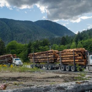 Logging Safety