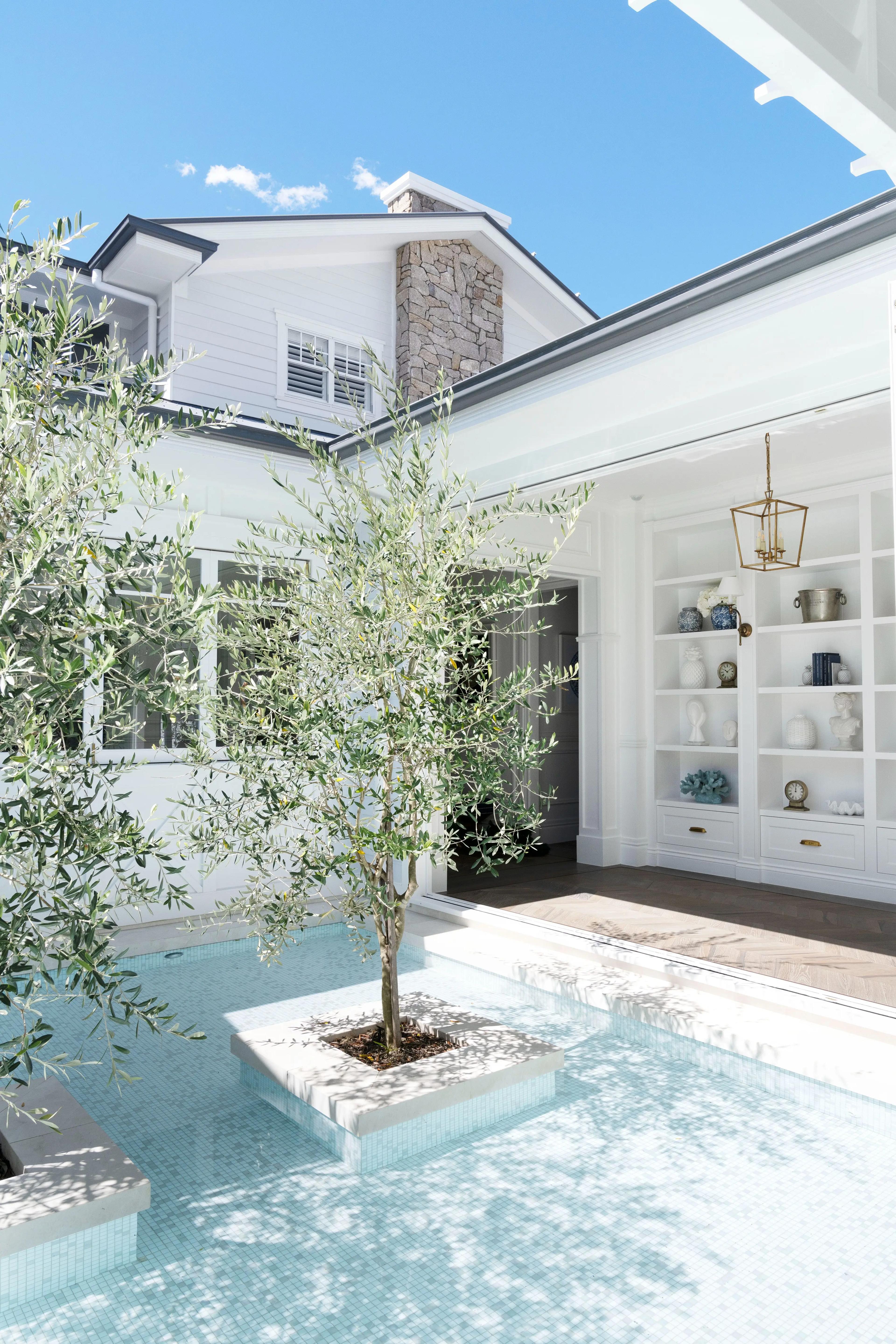 Courtyard water feature with olive tree beside white weatherboard home