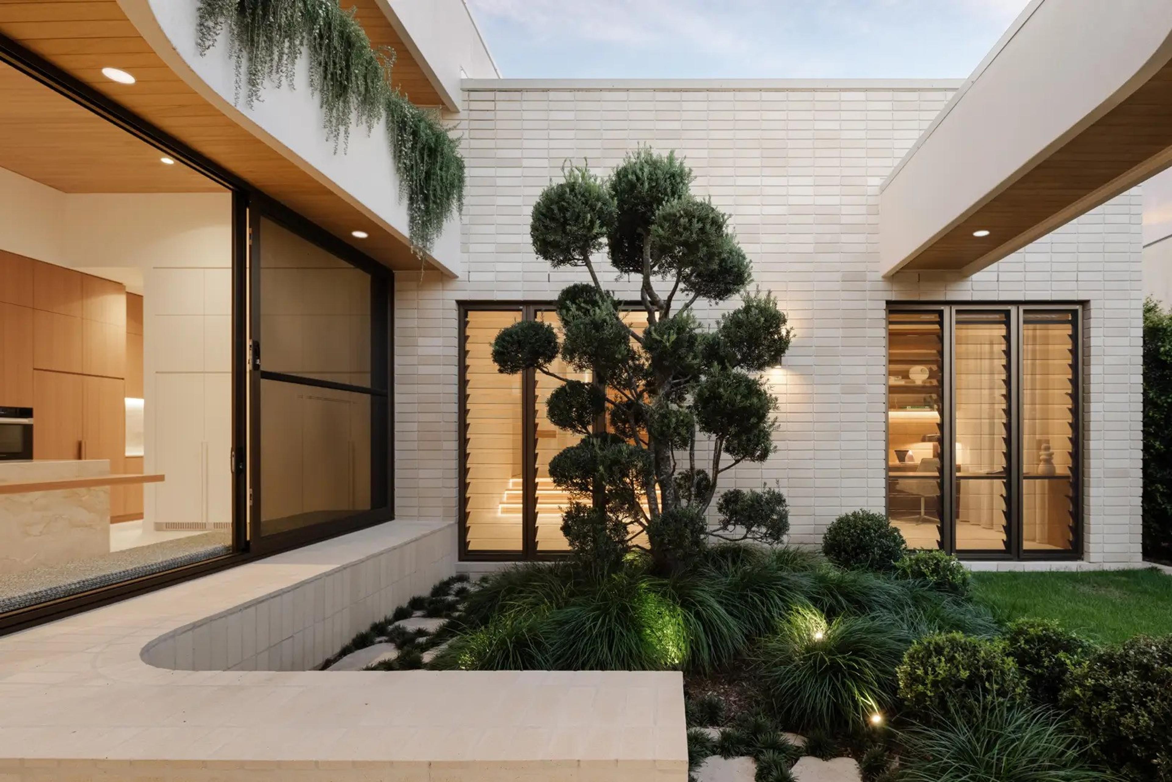 Courtyard with sculpted topiary tree beside glass sliding doors