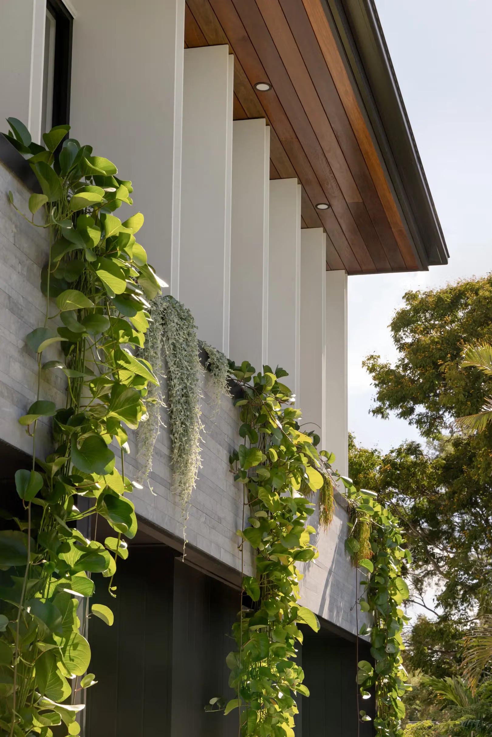 Deep timber-lined eaves and vertical fins shading the upper level of Akala House, Camp Hill, by Invilla Architecture