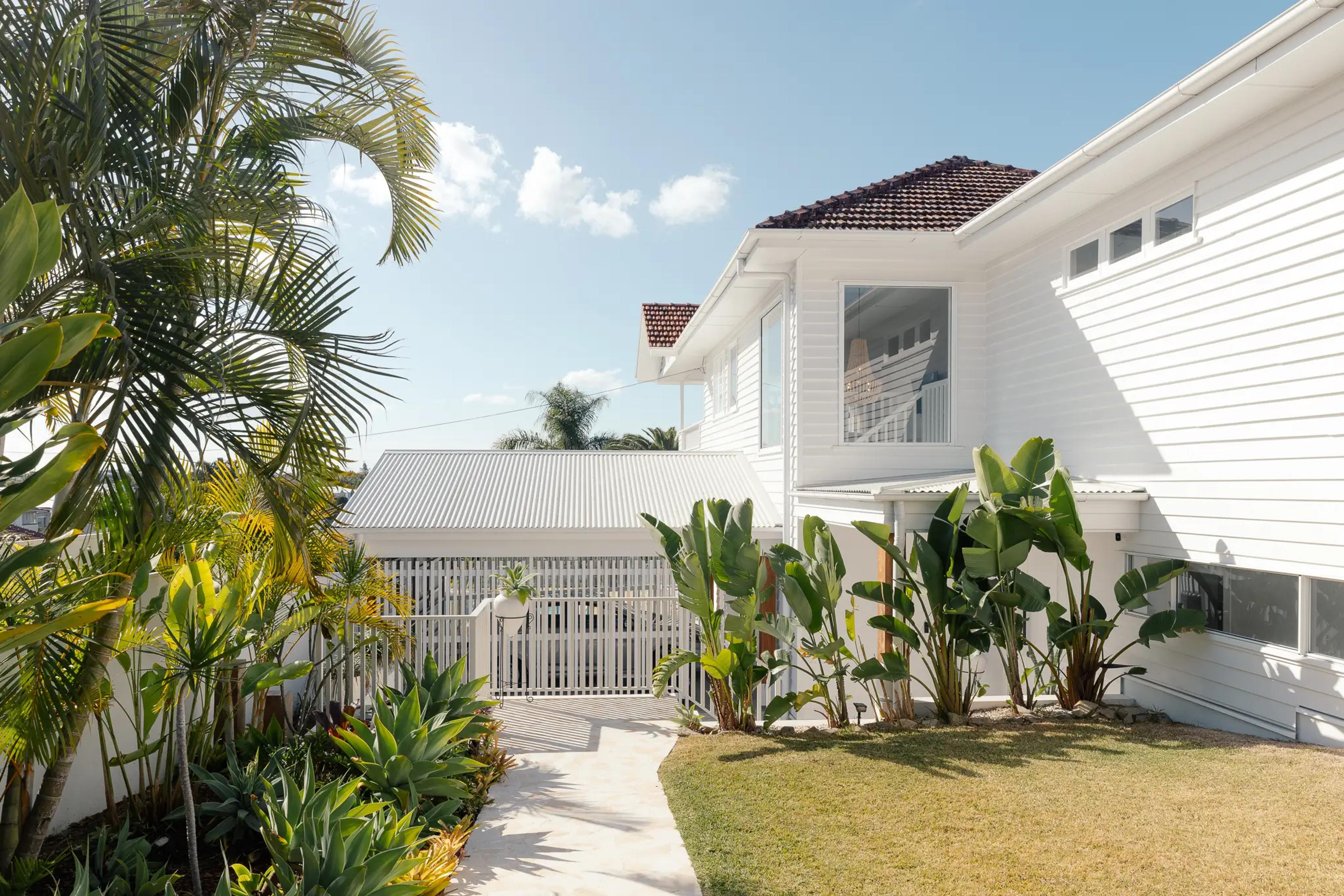 Side garden path with palms beside white weatherboard home