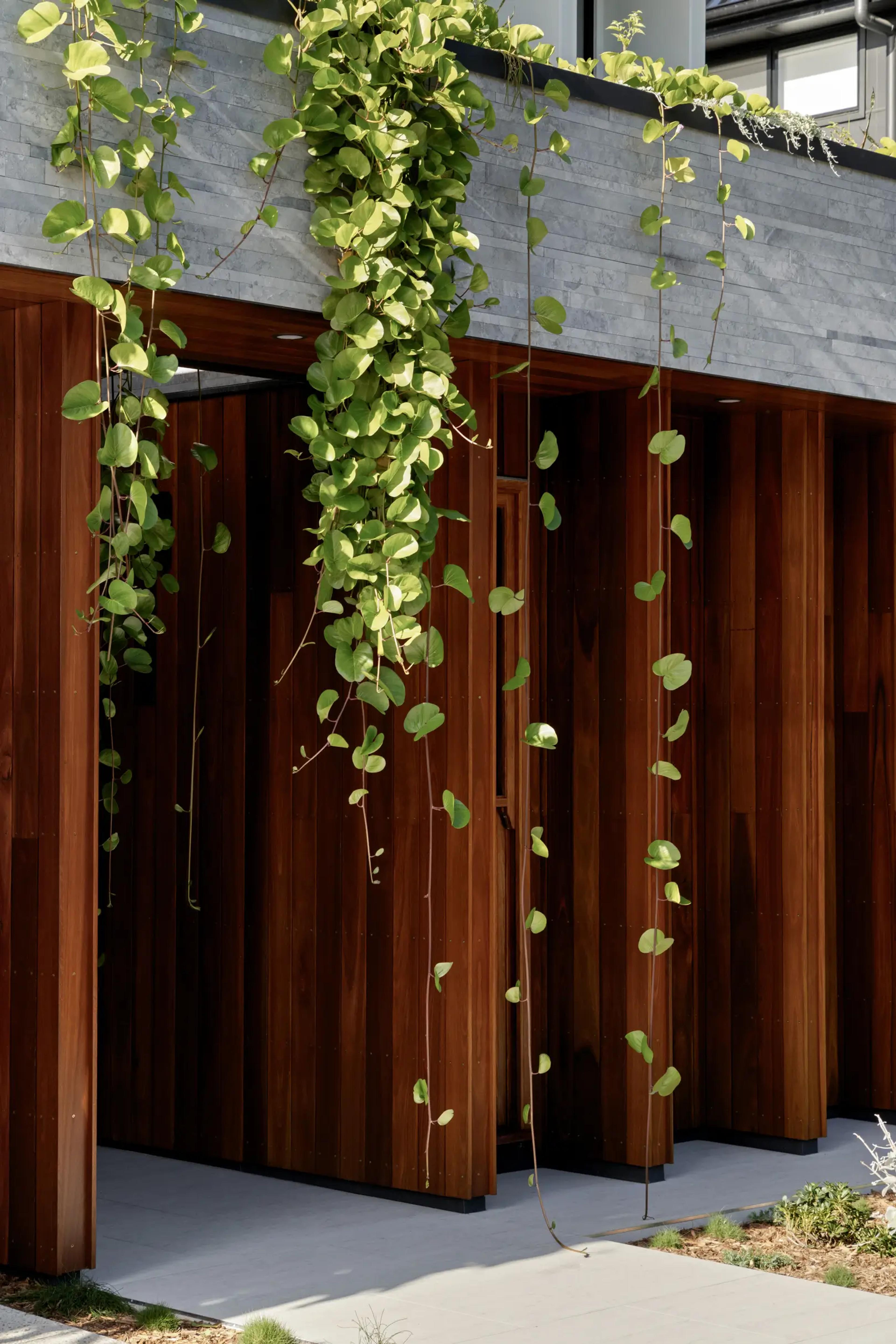 Timber clad entry screened by hanging vines