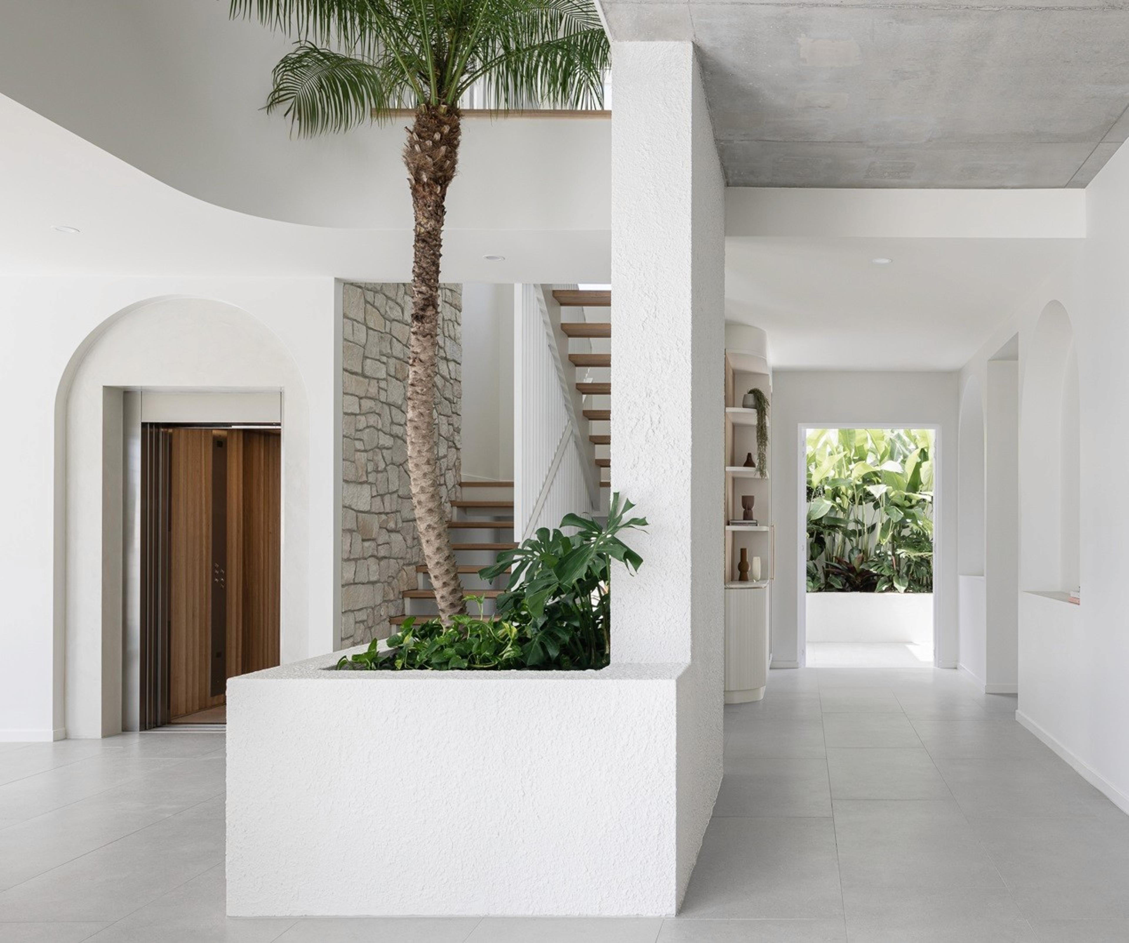 White entry foyer with indoor palm and arched doorways