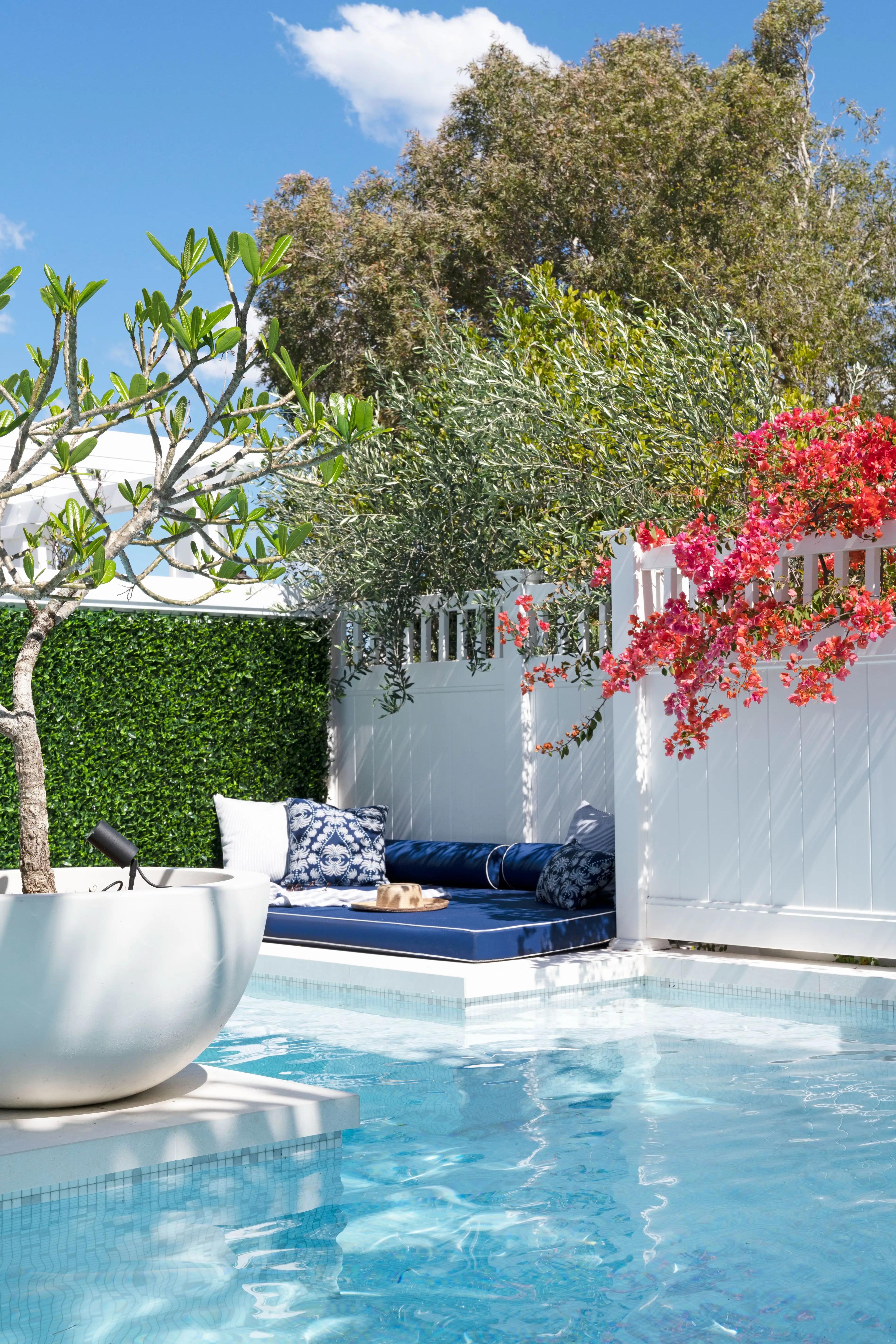 Pool day bed with navy cushions beneath flowering bougainvillea