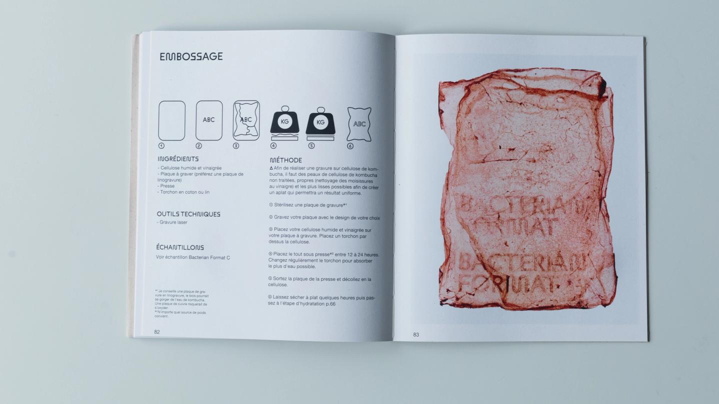 Bacterian Format - Léa Rinn