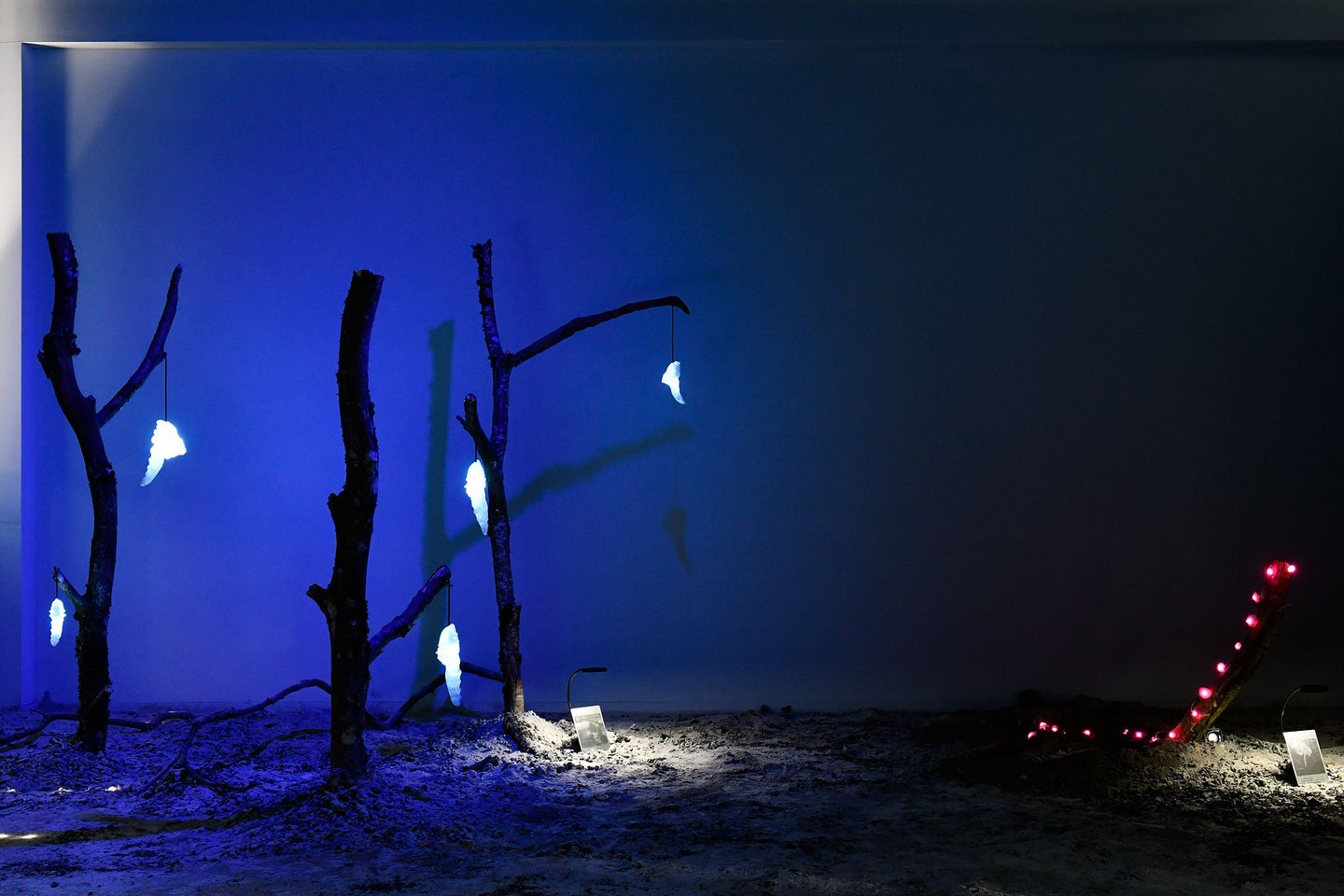 Biotope of " Deep Vermins" - Elsa Wagnières