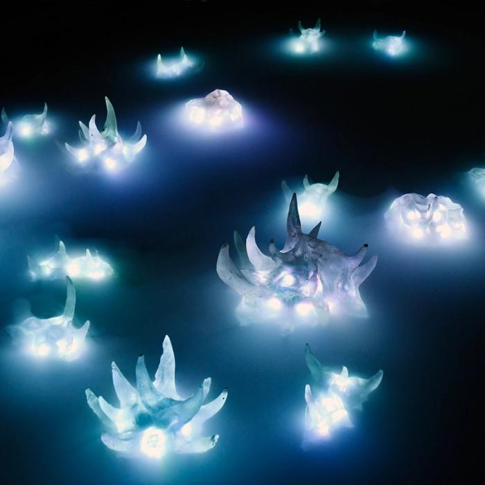 Biotope of " Deep Vermins"