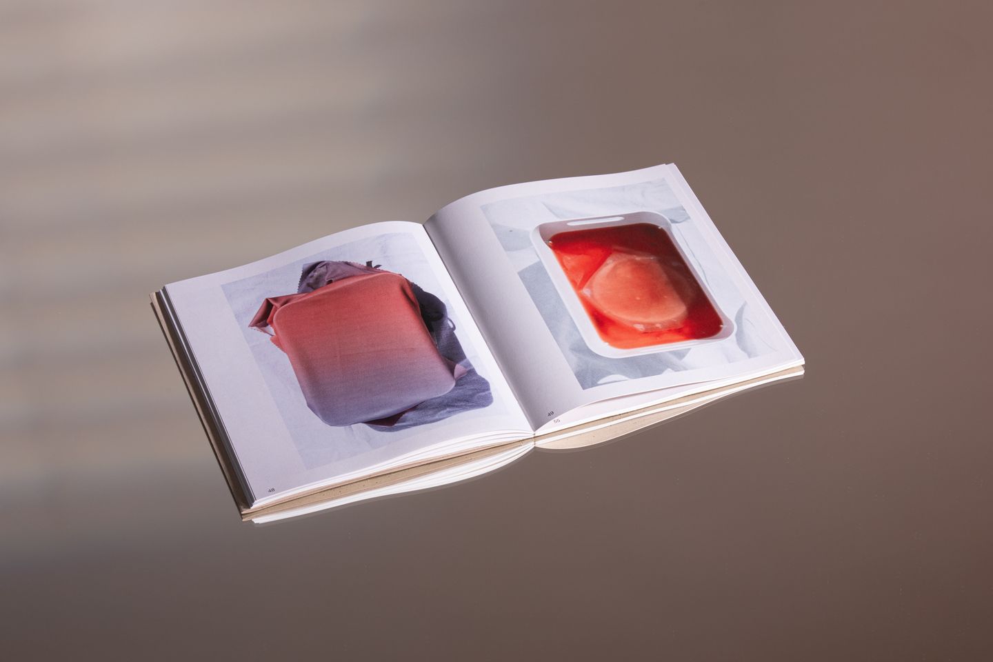 Bacterian Format - Léa Rinn