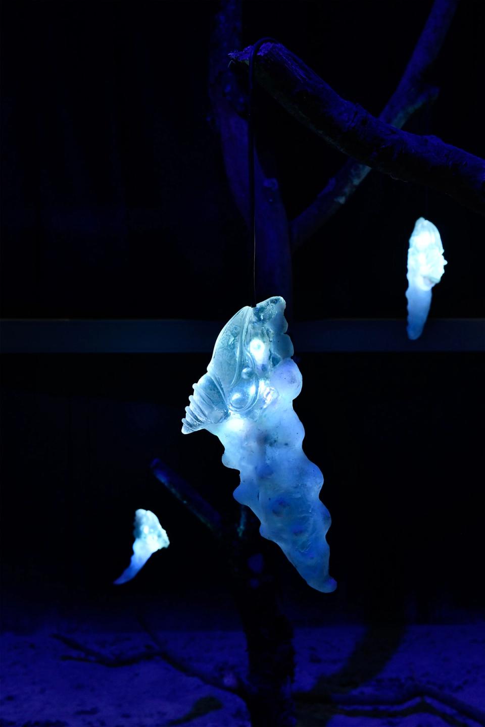 Biotope of " Deep Vermins" - Elsa Wagnières