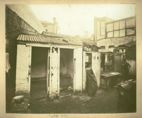 A rundown shed of two toilet blocks stand next to the rear open workspace of a butcher
