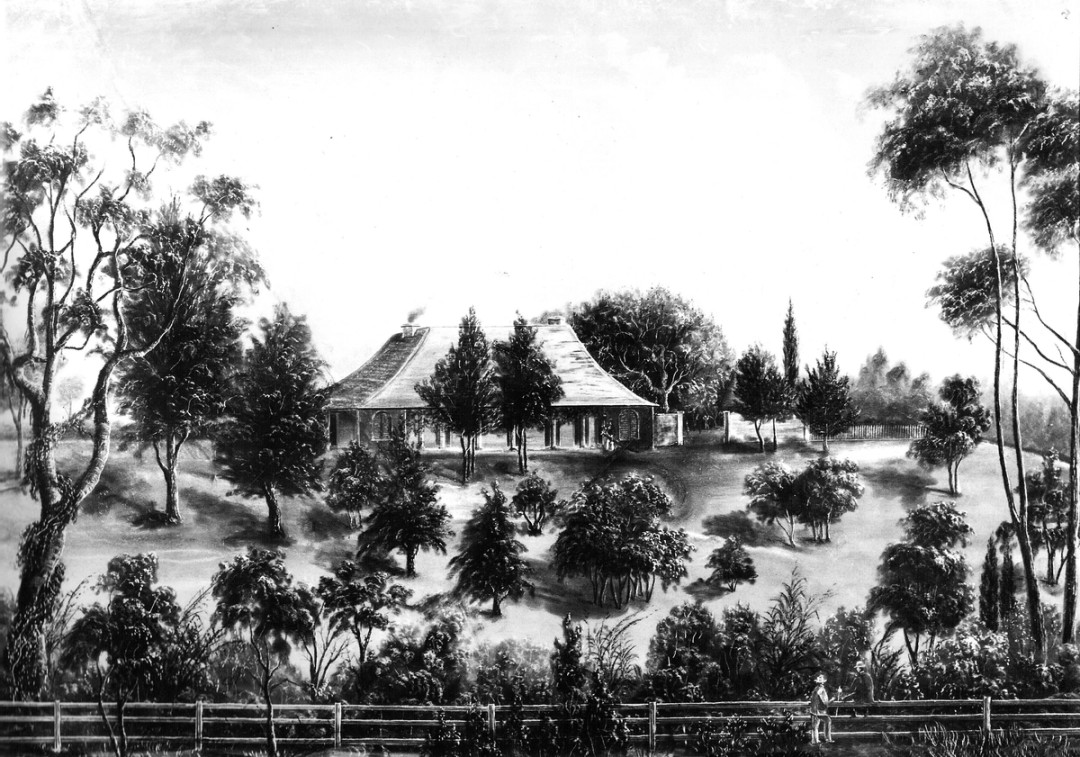 Black and white image of a home set amoungst vegetation