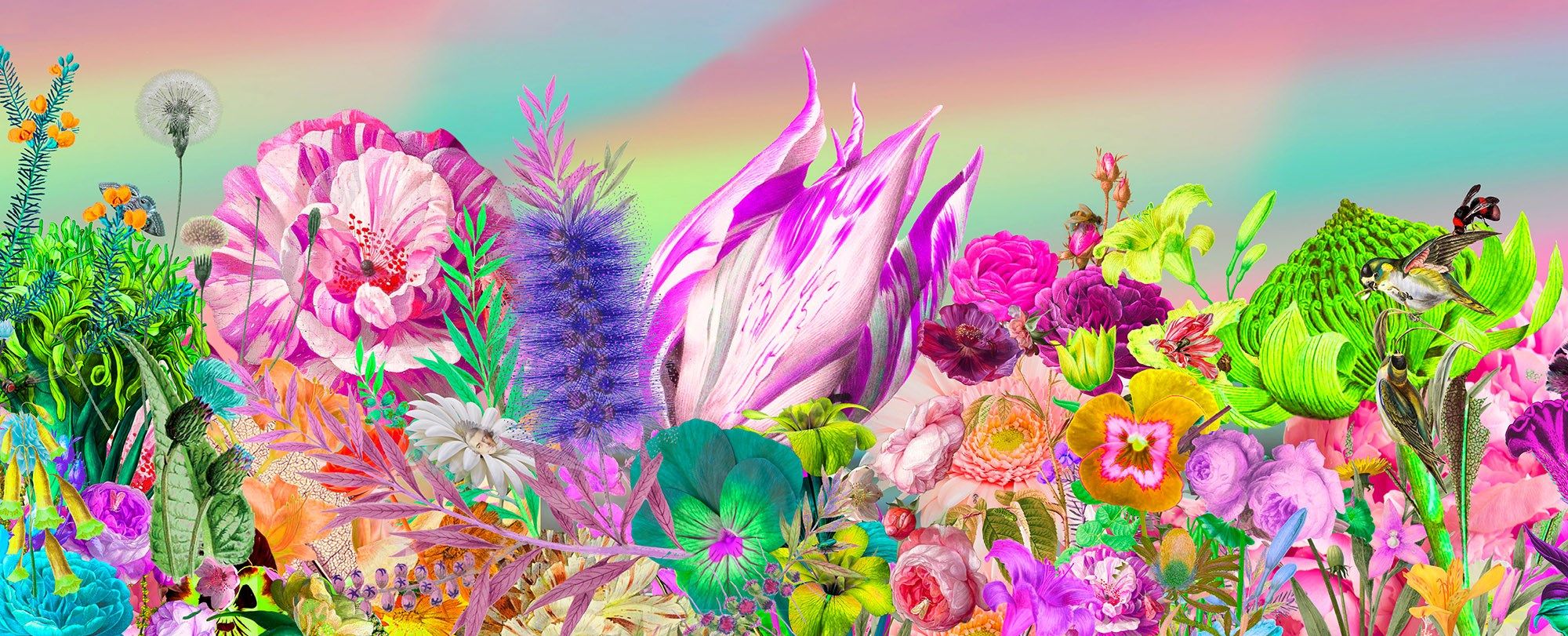 Let’s party like it’s 1815 by Joan Ross