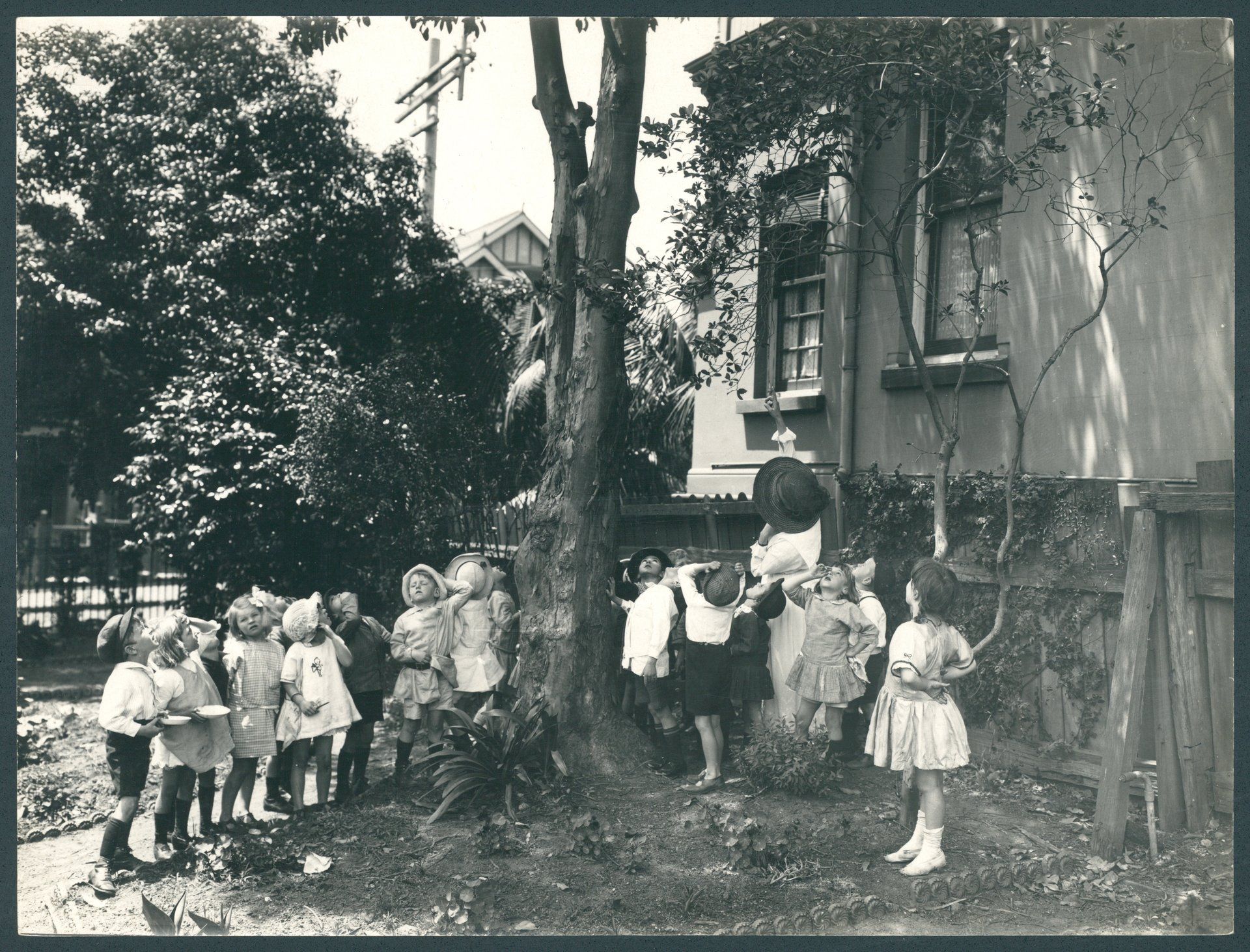 A teacher and children crowd around a tree, the teacher is pointing up at the tree and the children hold onto their hats as they look up.