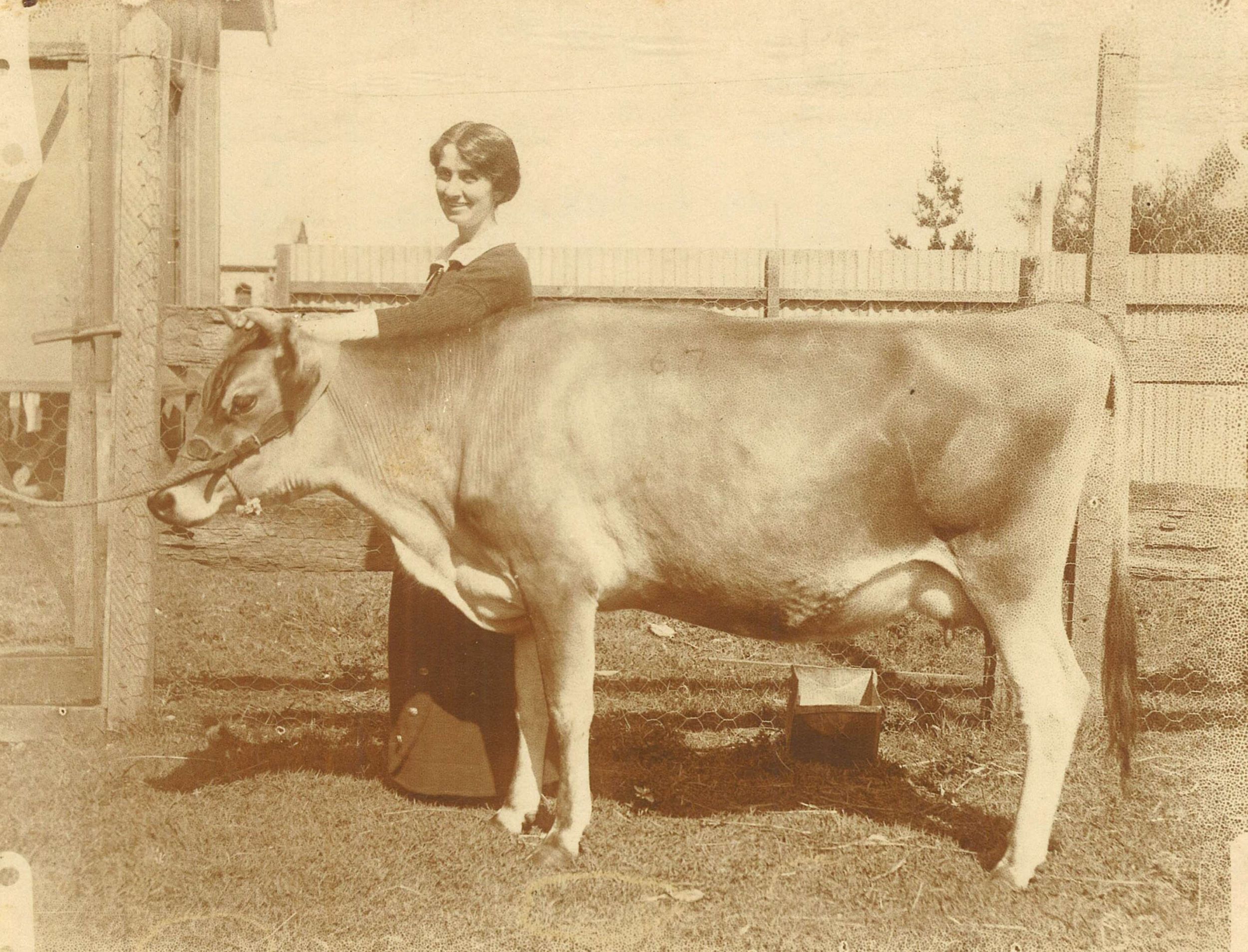 Woman stands beside a cow that is tied to a farm fence post