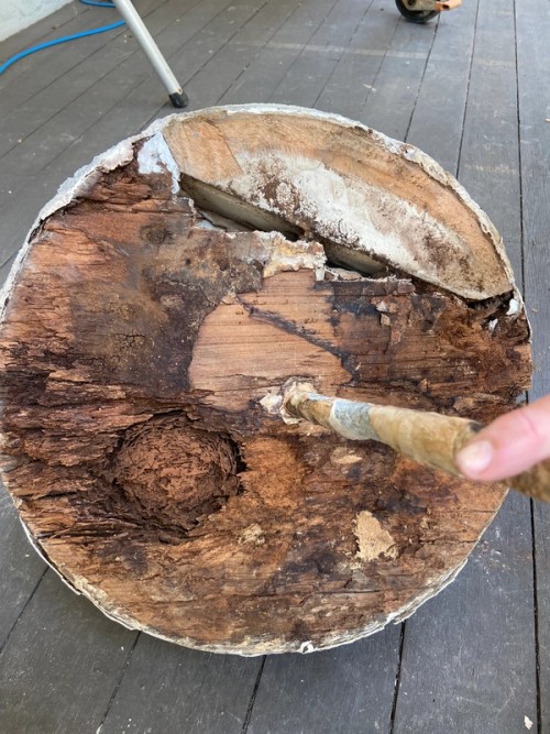 Damage and wear and tear to a wooden column