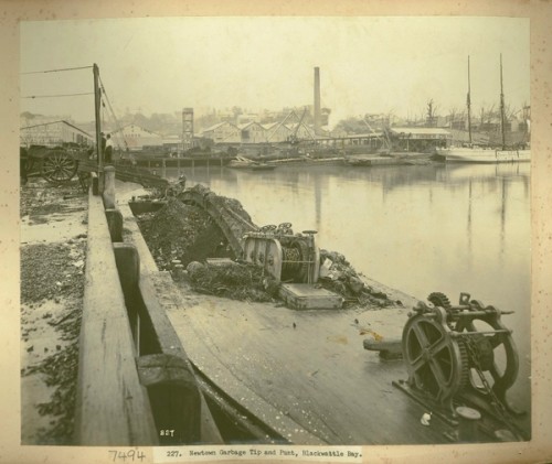 Garbage tip beside a bay