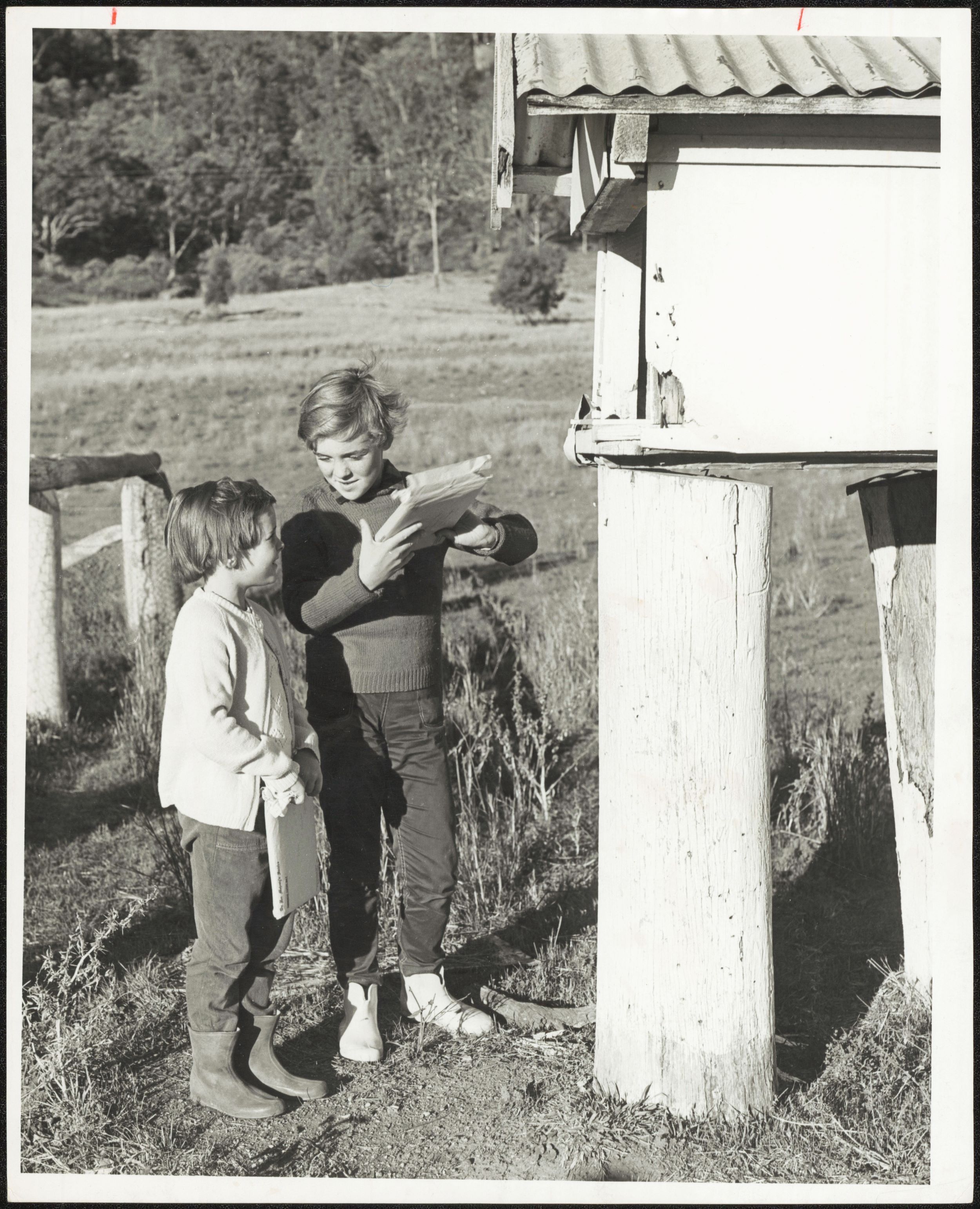 Children collecting mail at the letterbox