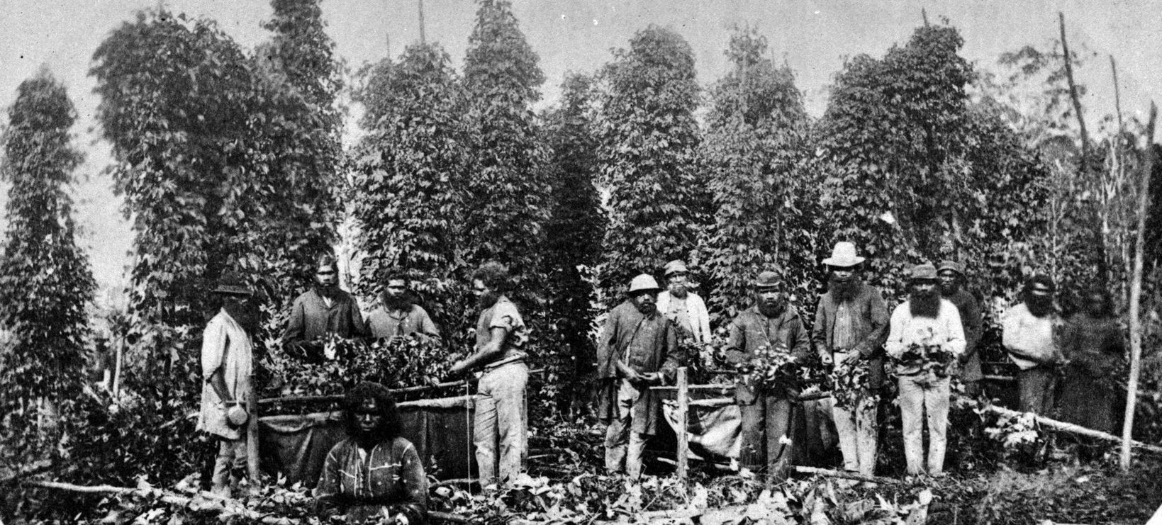 A group of First Nations people in a garden