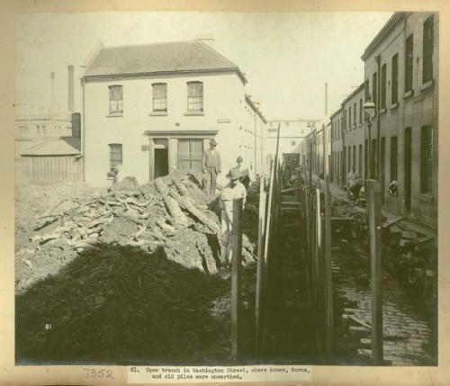 Men stand next to an open trench, a pile of earth is to the left and bones and horns are visible in the soil