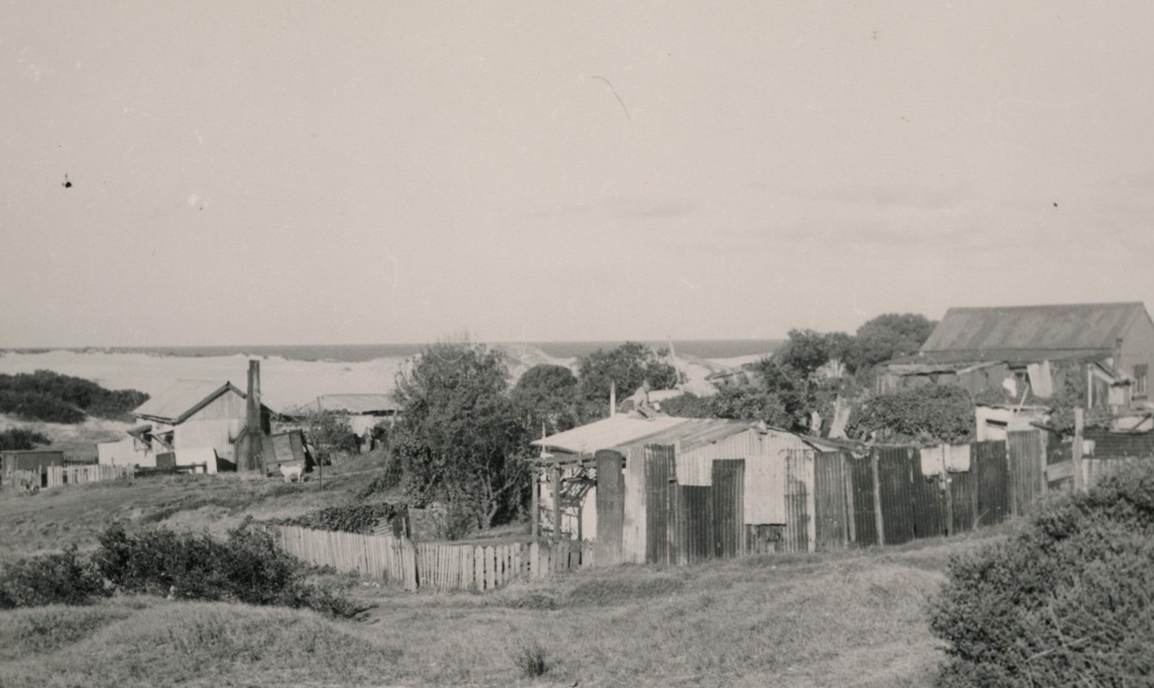 A view of the shacks on the Port Kembla end of the Official Camp