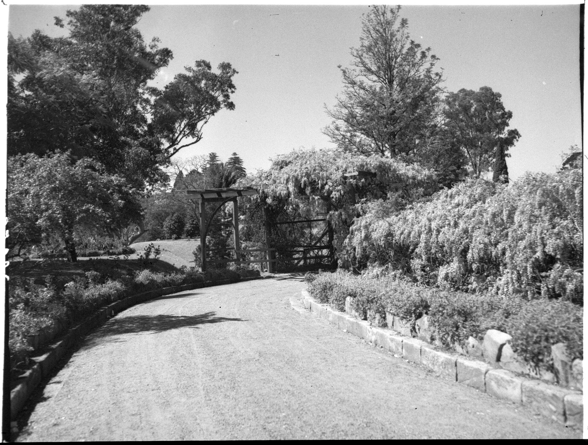 Mental Hospital, Parramatta: garden view, Government Printing Office, c1950.