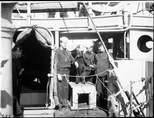 Two sailors on deck stand either side of a small bear