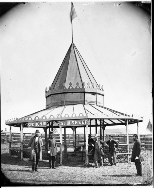 Festival stand with 'Sheep' signage