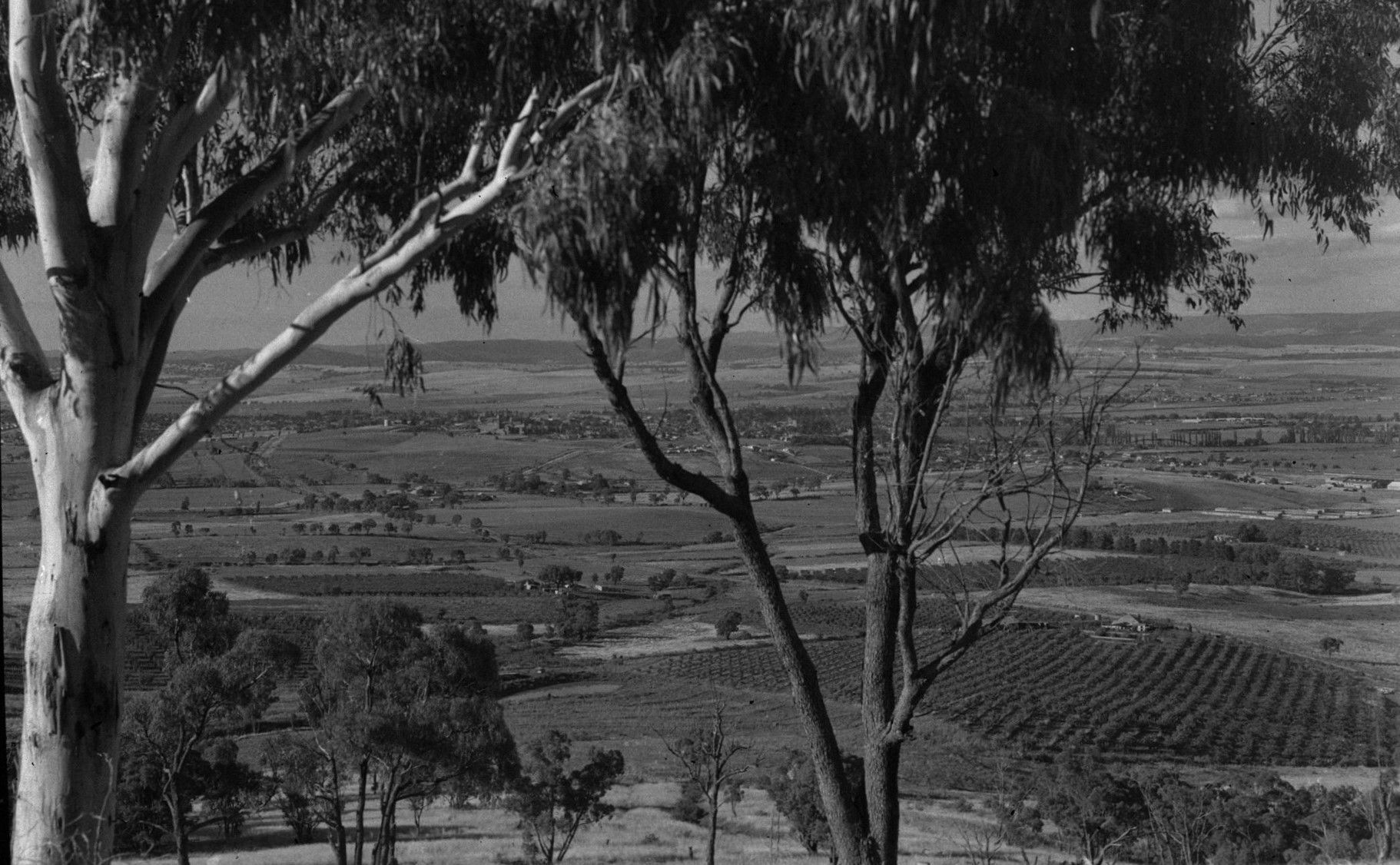 Sketch of a rural setting with farm houses and fenced paddocks