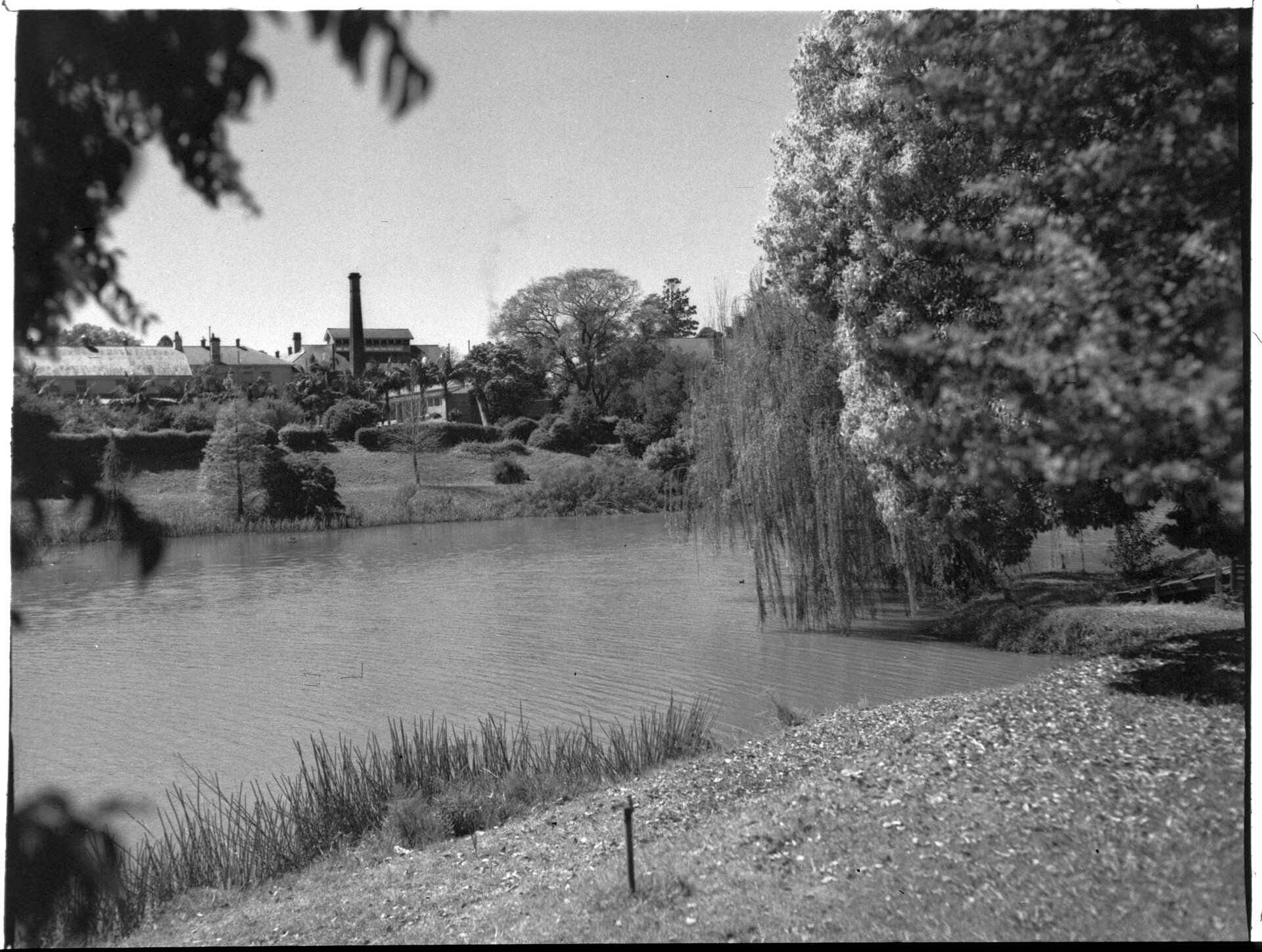 Mental Hospital, Parramatta: garden view, Government Printing Office, c1950.