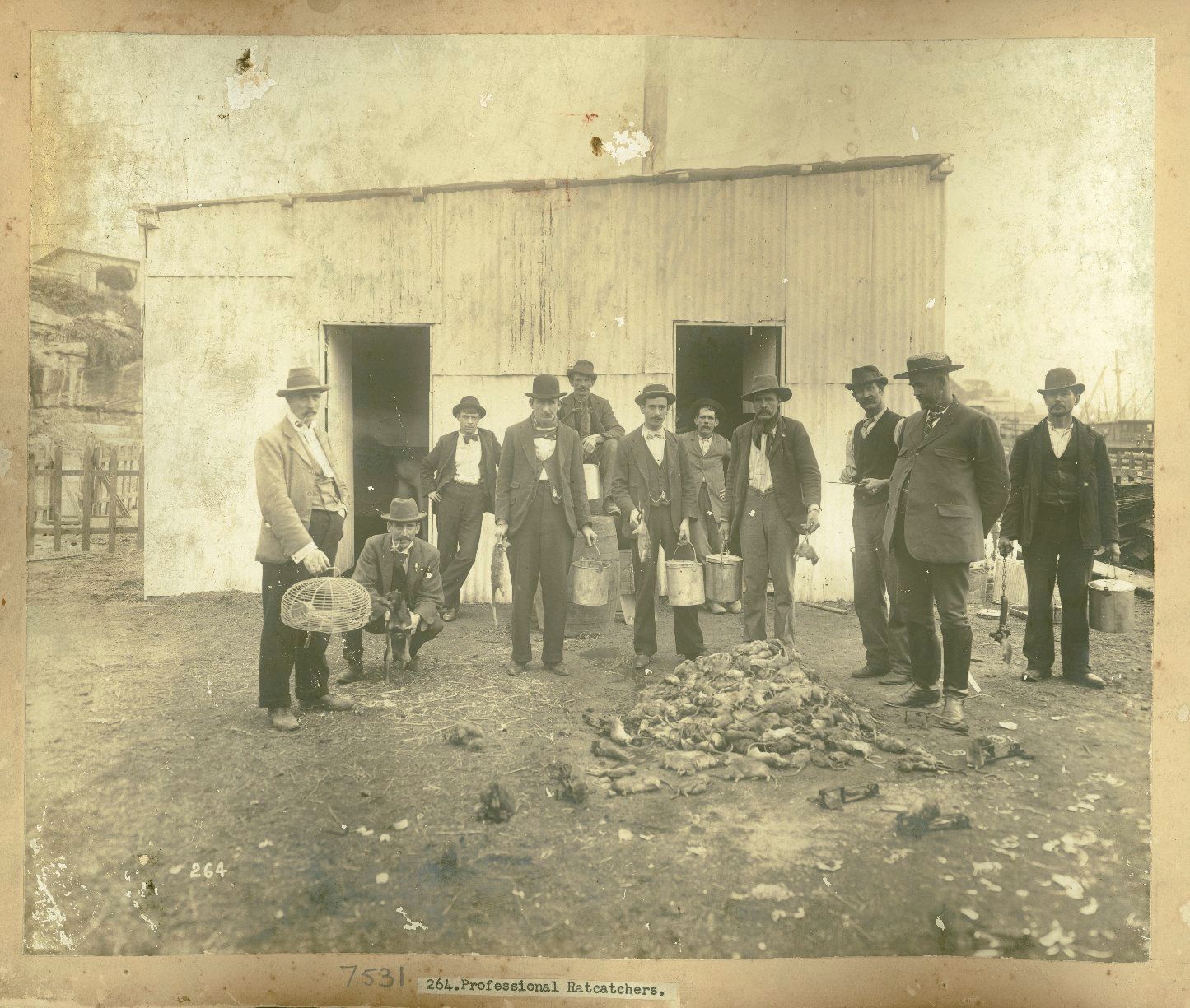 A group of men stand behind a pile of dead rats
