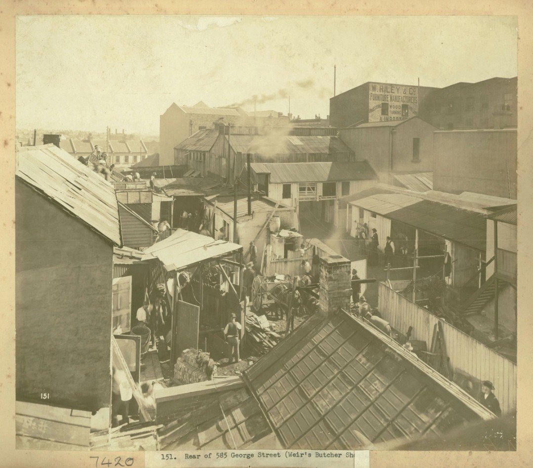 Backyards of a row of houses with horse and cart, the cart of being piled with debris and rubbish and onlookers watch several men clean up the area