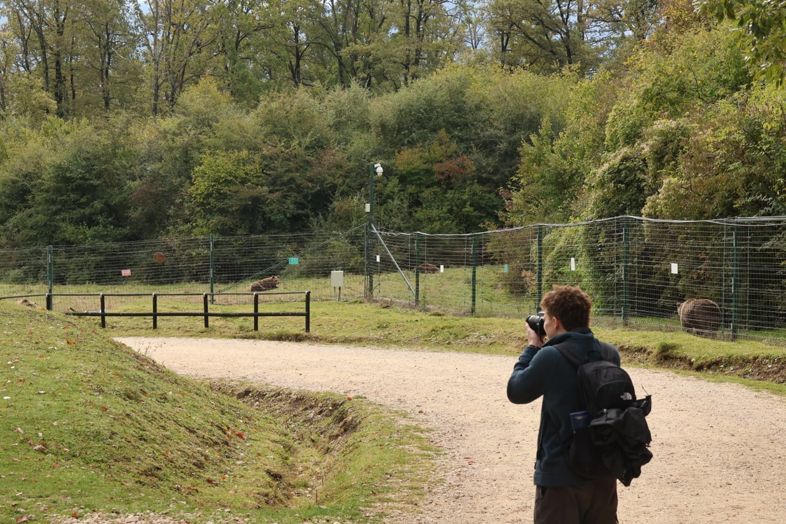 Wildlife Experiences