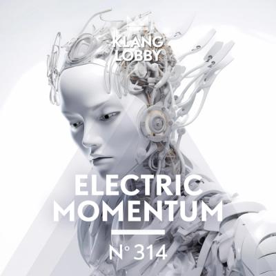 Electric Momentum