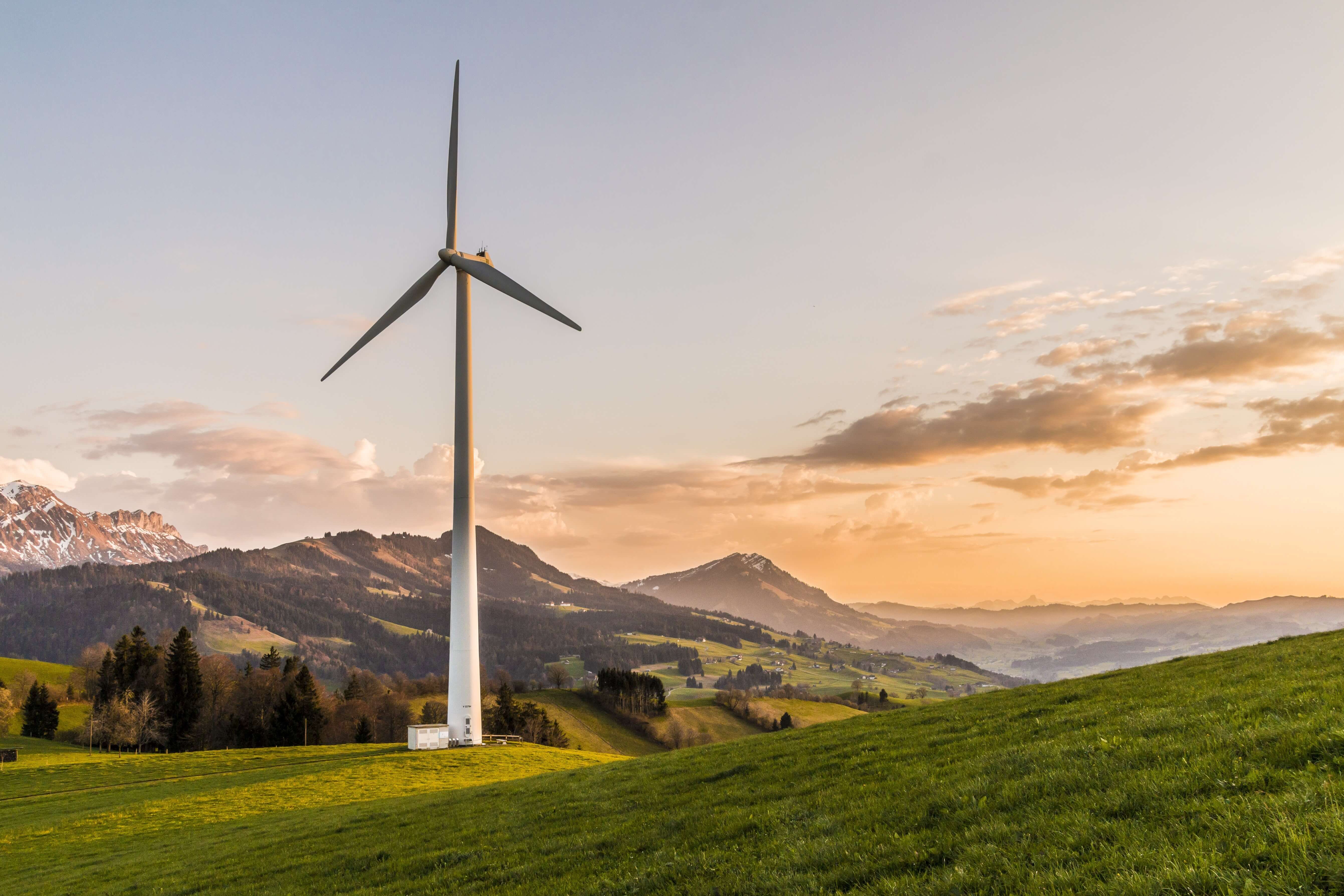 5 Countries Leading the Charge on Renewable Energy (And What We Can Learn From Them)